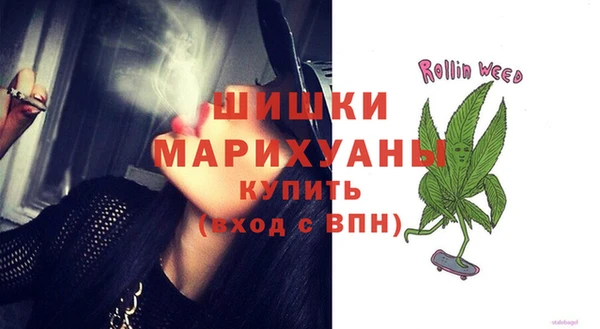 мдпв Белокуриха