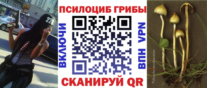 Галлюциногенные грибы MAGIC MUSHROOMS  blacksprut ссылки  Крымск  цены  